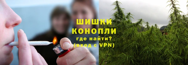 прущие грибы Зеленодольск