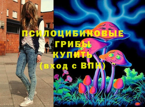 прущие грибы Зеленодольск