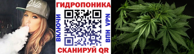Купить закладки  Уяр  Конопля план 